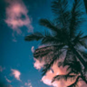 Meet your Posher, Tabitha